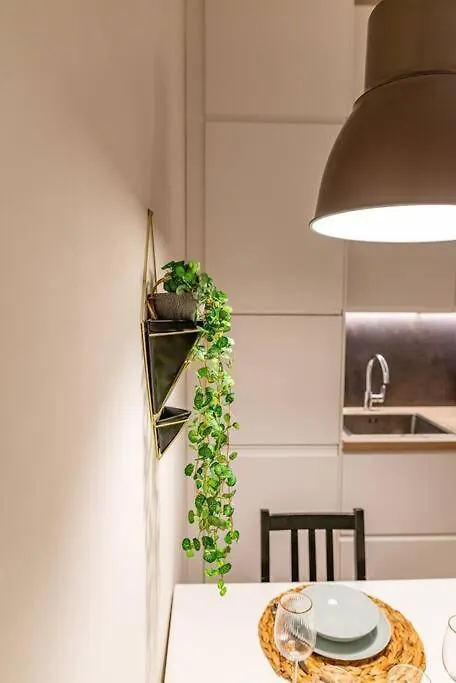 Apartment Coeur Centre Ville Grenoble - Charme De L'Ancien